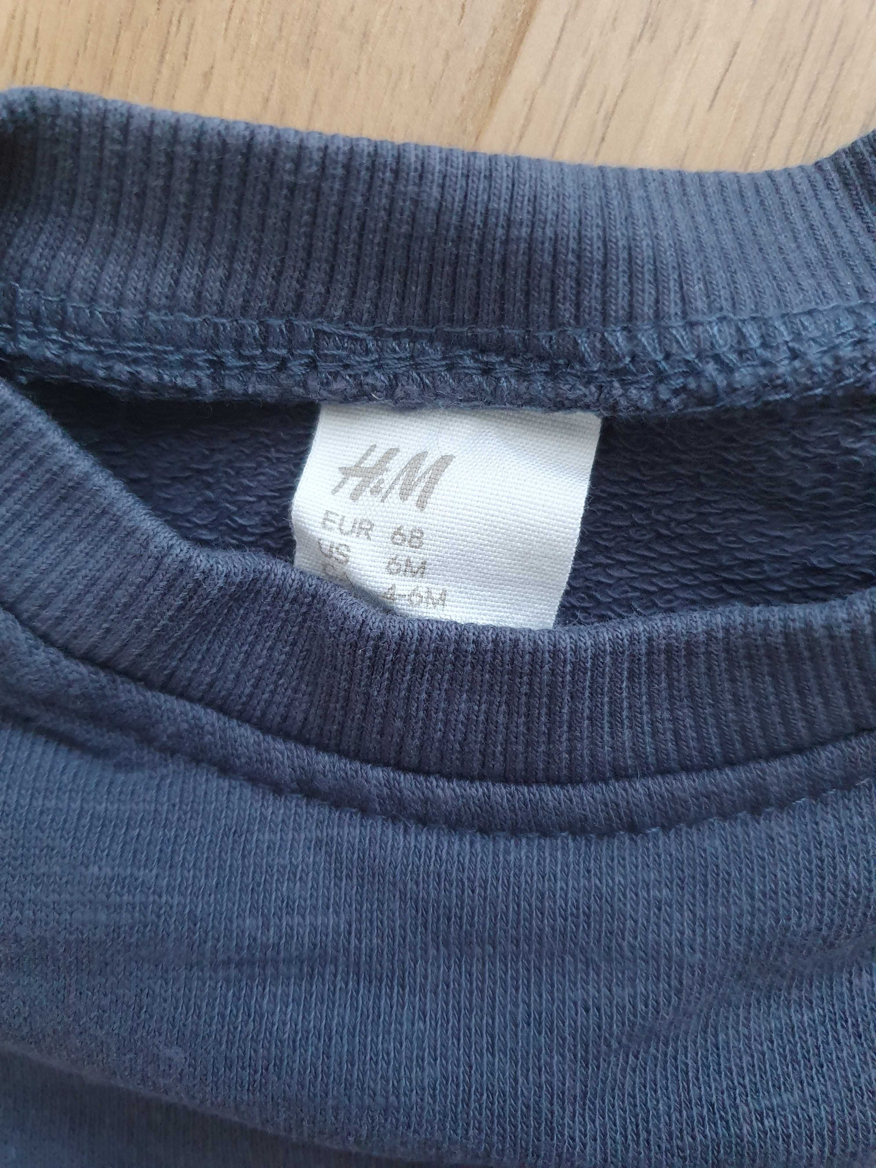 H&M r.68 bluza chłopięca