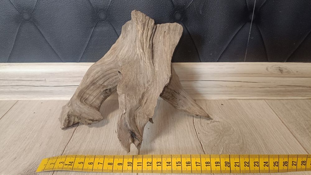 Korzeń Akwarystyczny