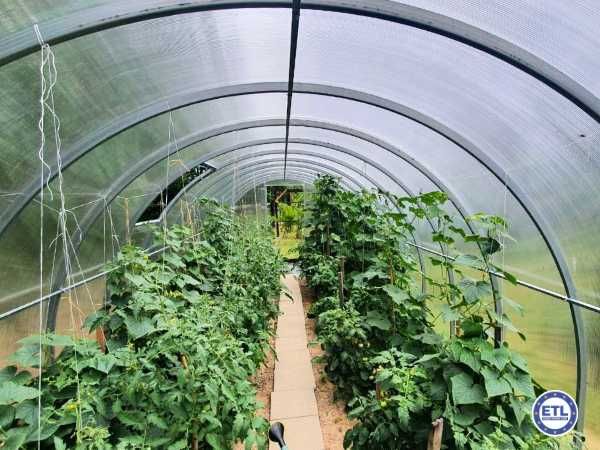 Szklarnia Tunel ogrodowy 3x4 3x6 3x8 Profil 40x20 Poliwęglan 4 / 6mm