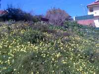 Terreno Oeiras, Porto Salvo