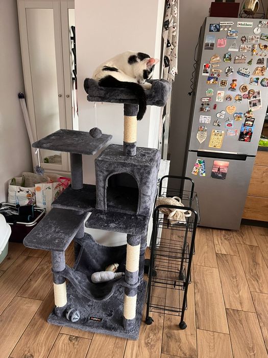 Drapak dla kota 143 cm