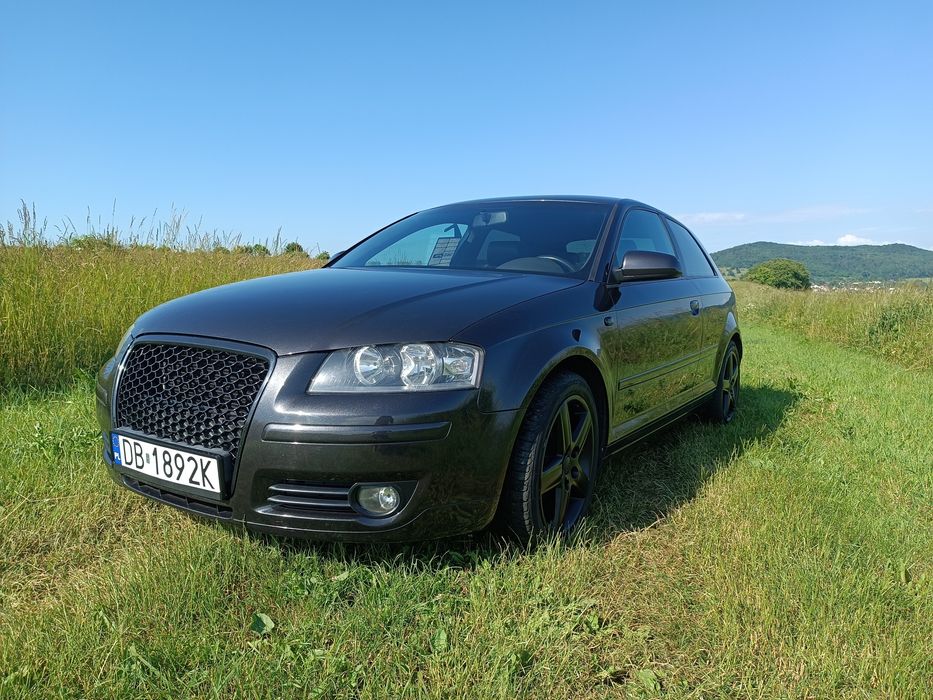 Audi a3 8P 1.9 TDI BLS