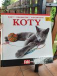 Koty rasy, charakter, ciekawostki