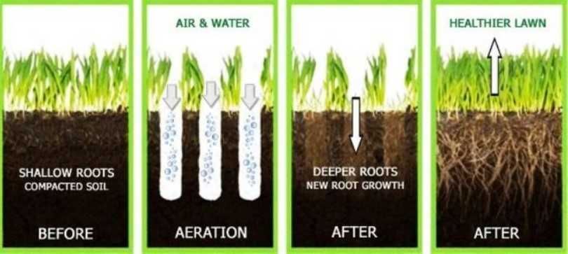 Aerator rurkowy Weibang profesional  trawa jak boisko wynajem aeracja