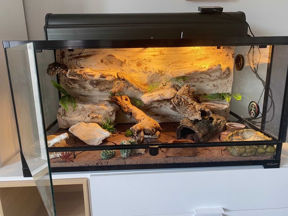 Terrarium dla gekona Repti Zoo z wyposażeniem
