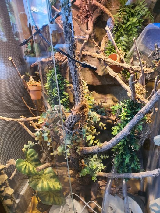 Terrarystyka w domu