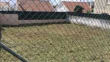 Lotes de terreno ramada