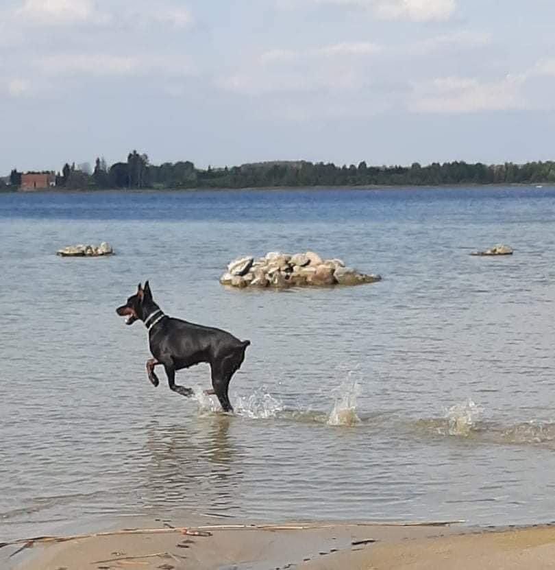 Dom letniskowy, wynajem, piękne jezioro Narty Mazury