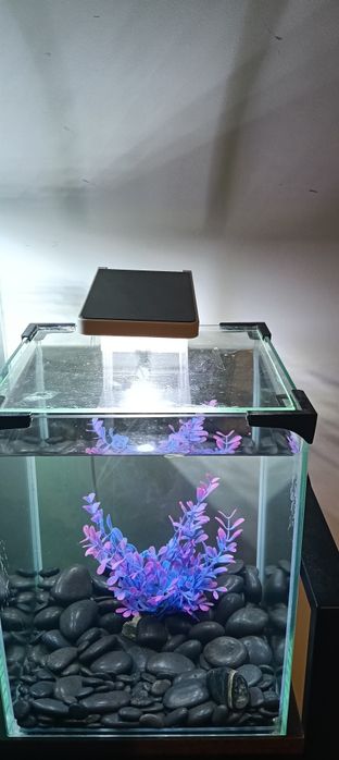 Sprzedam akwarium 10 l