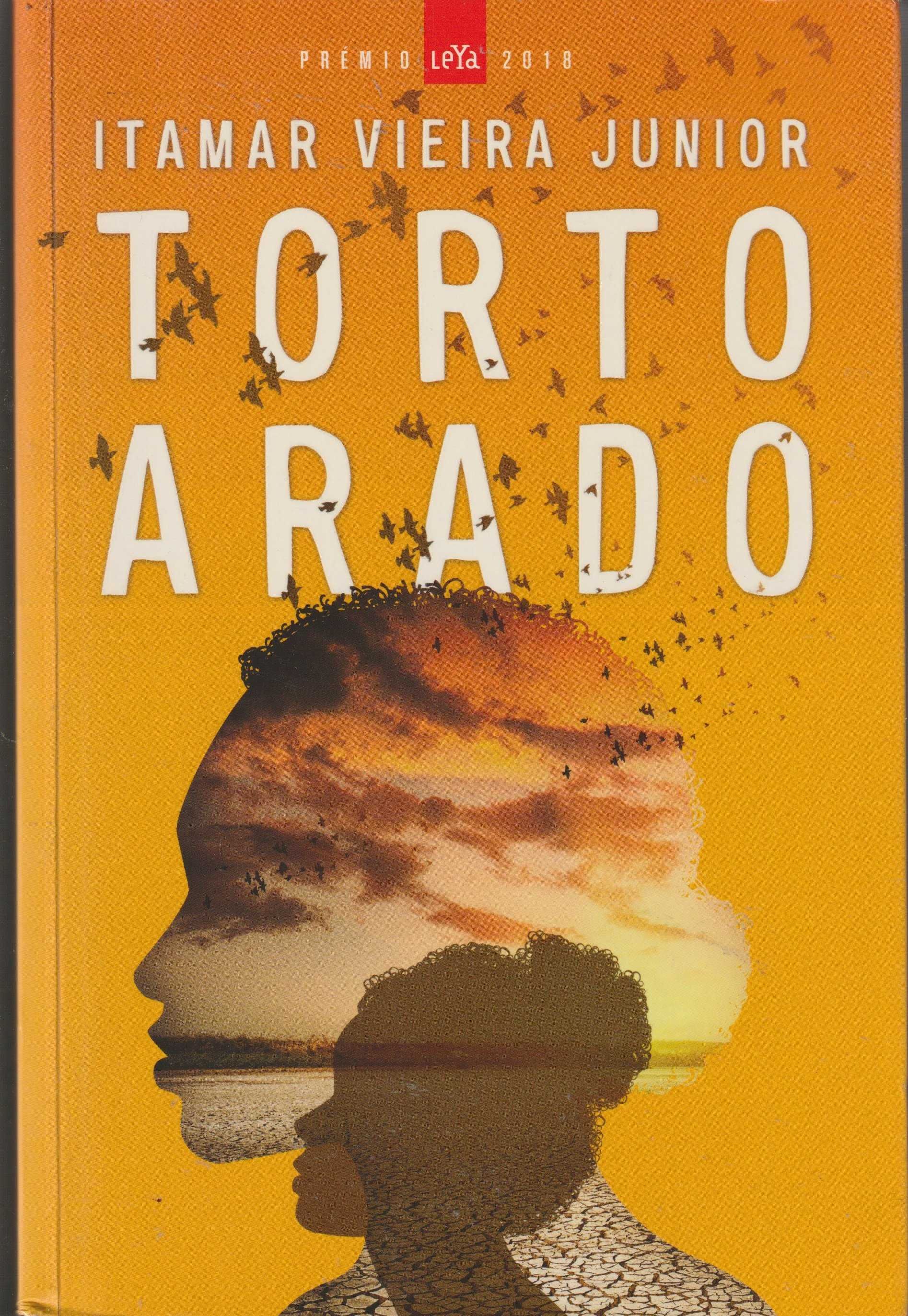 Livro - Torto Arado