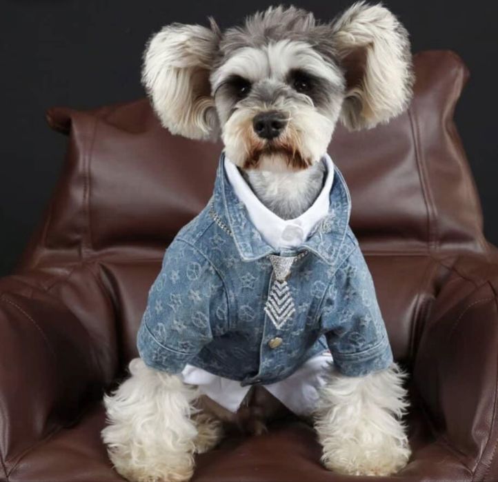 джинсовая курточка для собак Louis Vuitton