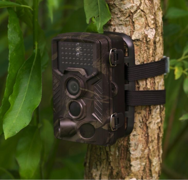 Kamera leśna fotopułapka Denver WCM-8010 z czujnikiem CMOS