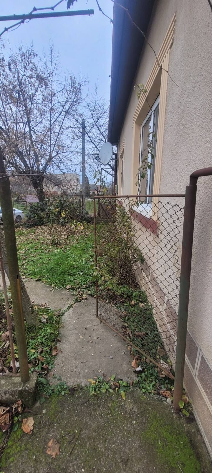 Продам дом Закарпатя Велыки Береги