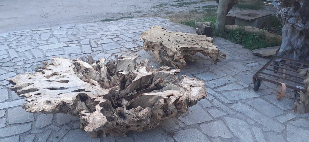 Raizes decorativas