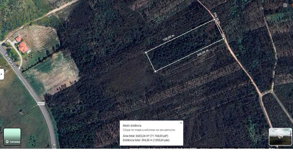 Terreno florestal com cerca de 6000m3