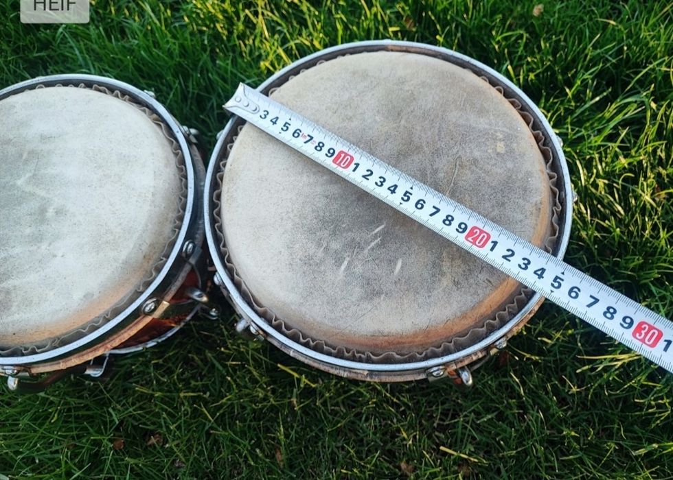 BONGOSY  VENEZOLANA SRL 60-70 lat Sarda  Percusion. Super cena