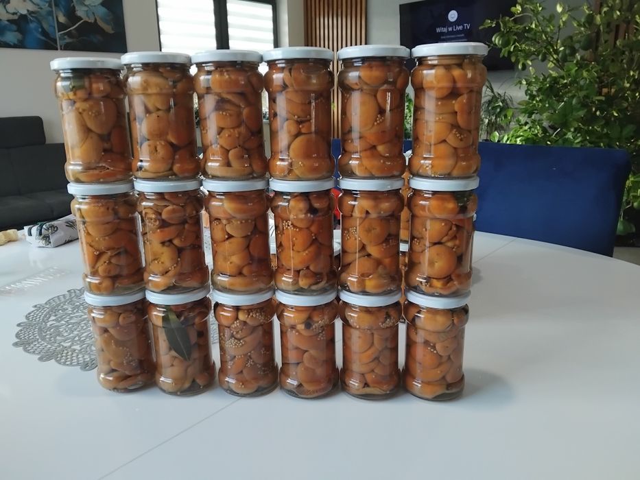 Rydze marynowane 18 sztuk