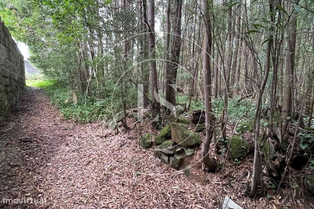 Prédio Rústico na Trofa