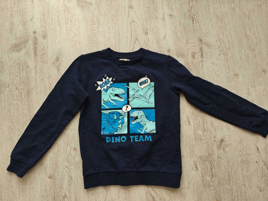 Bluza z dinozaurem