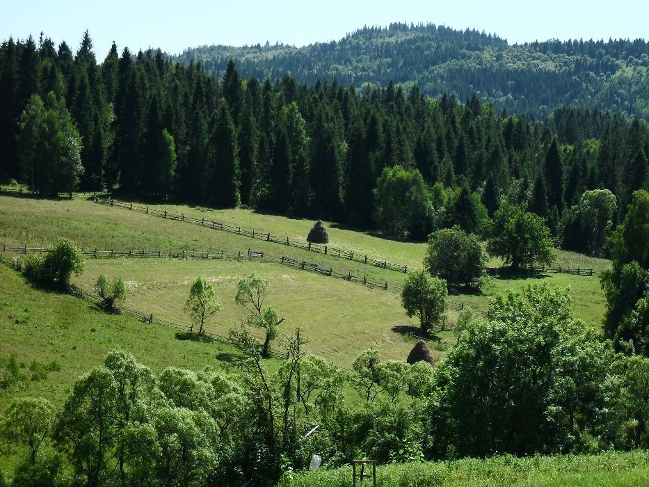 Відпочинок в Карпатах