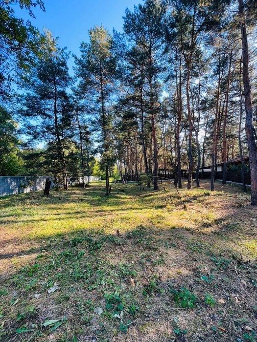 Продам участок в сосновом лесу в Обуховке закрытая территория лес река