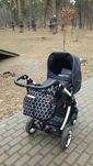 Teutonia Cosmo V4 + Сумка Skip Hop в подарок