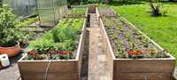 Warzywnik betonowy, Grządki betonowe, Ogród warzywny 205 x 105 x 50