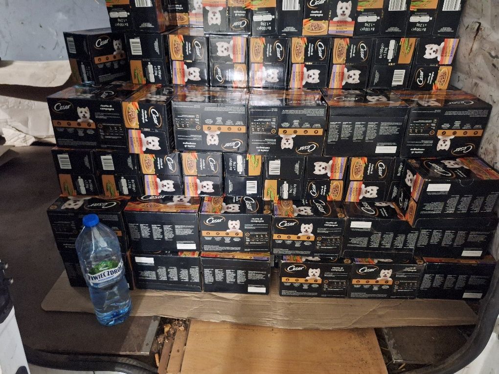 Mokra karma Cesar dla psów 8x150g różne smaki duża ilość.