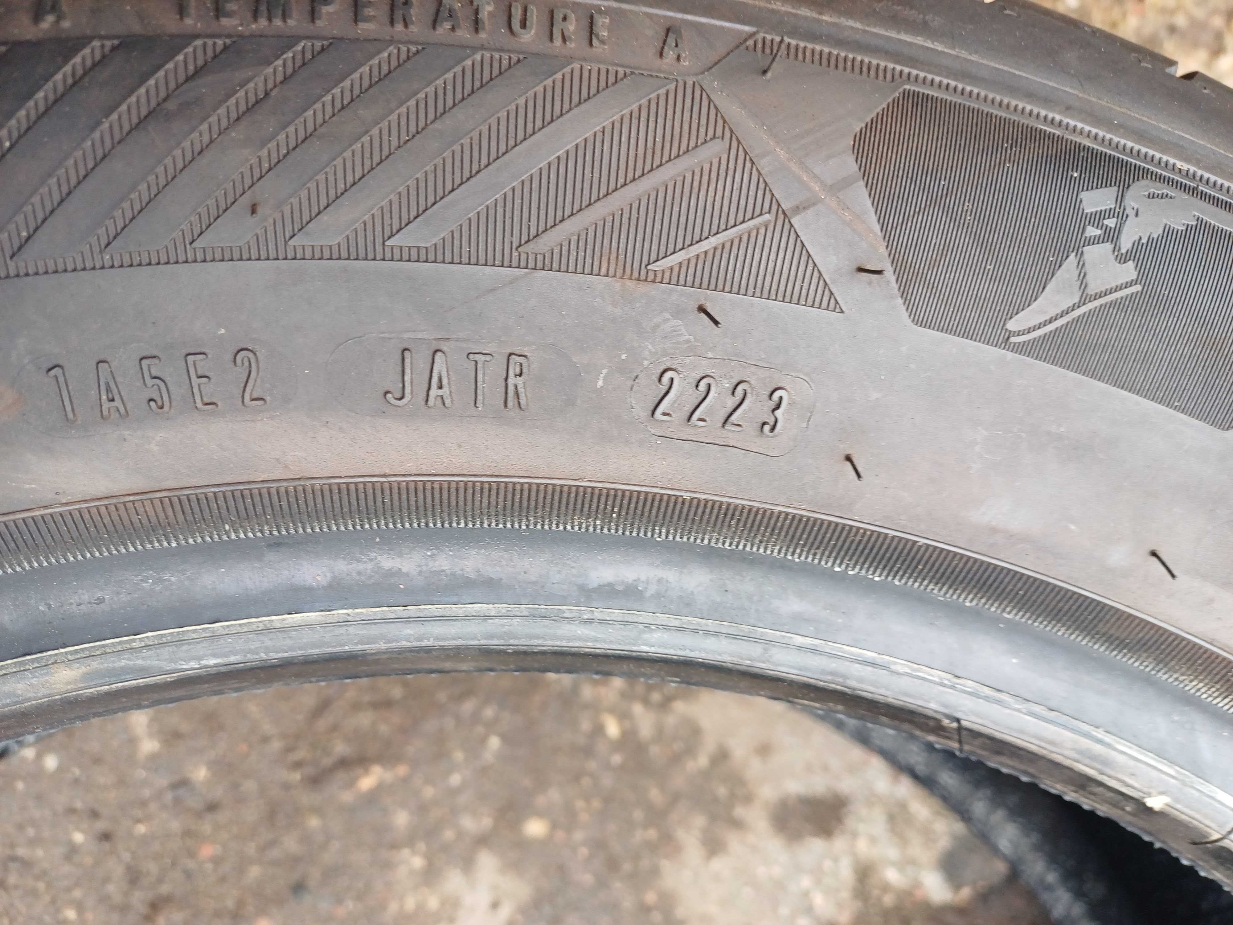 Goodyear EfficientGrip Performance 2 215/55 R18 99V XL 2023r Demo