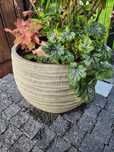 Duza owalna donica, ceramiczna, zielona