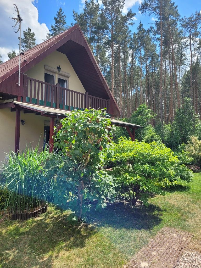 Dom wakacyjny Merlin nad jeziorem Jodłów, Sława, 8 os, wolne terminy