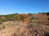 Terreno Rústico Com 5.560 M2 - Com Árvores - Alcarias Gra...