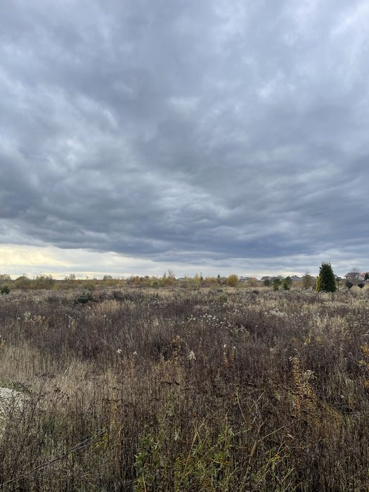 Продаж ділянки 43,5 сотки,Кротошин, Львів