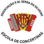 Aulas de Concertina