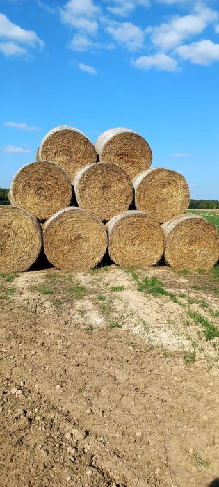 Sprzedam Słome w rolach