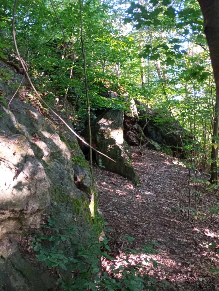 Domek na Kamieniu
