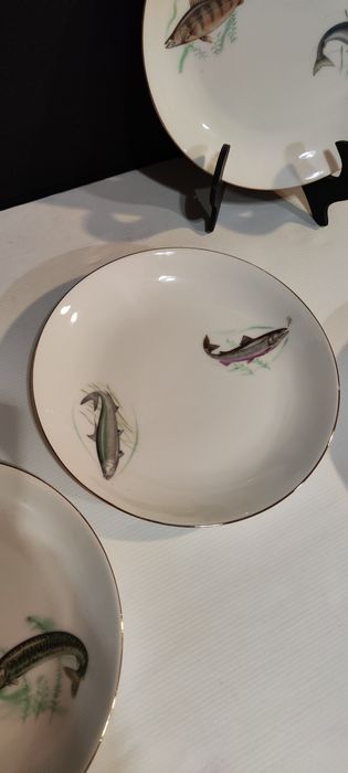 Pratos VA/ SP Coimbra - valor unitário