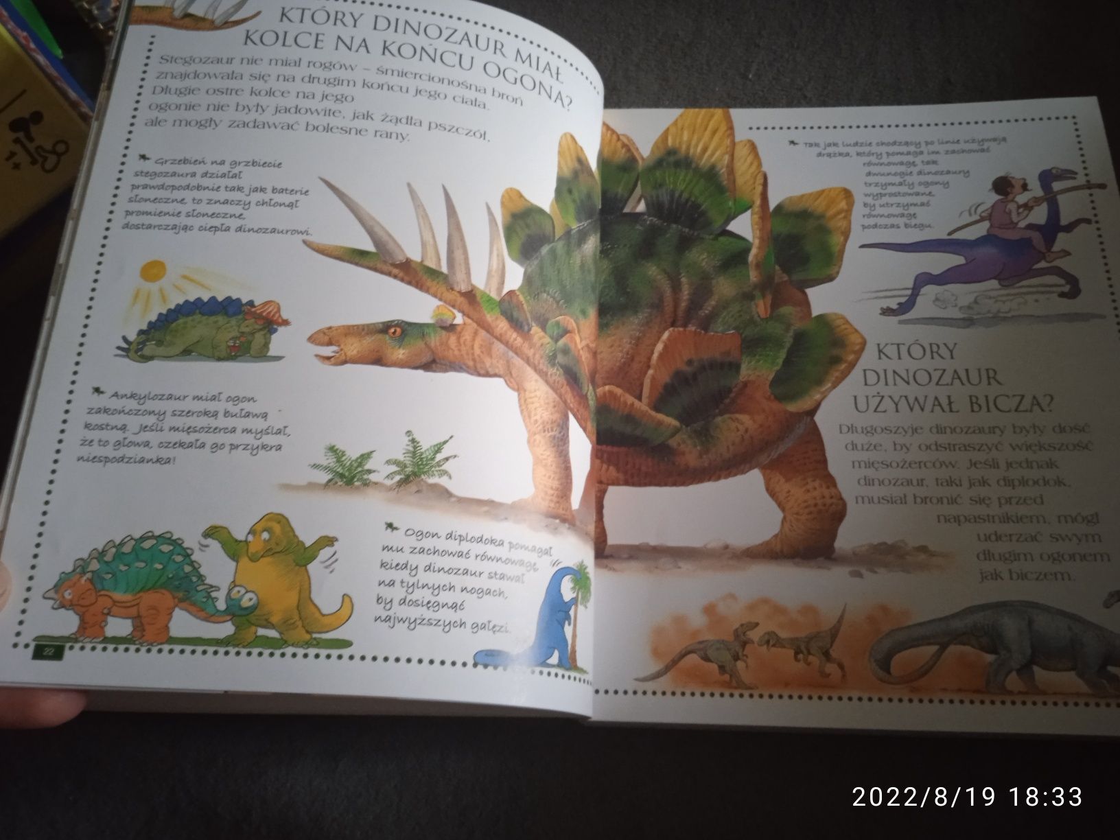 Książka księga zwierząt