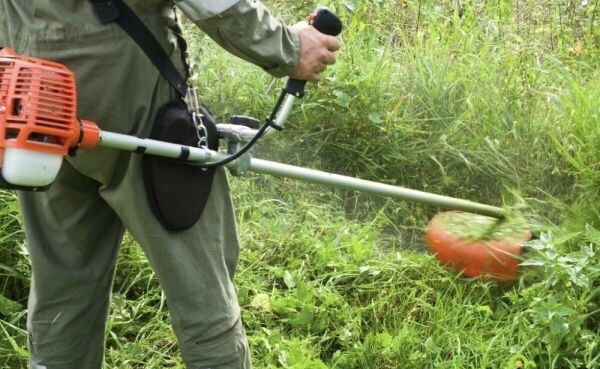 Покос травы