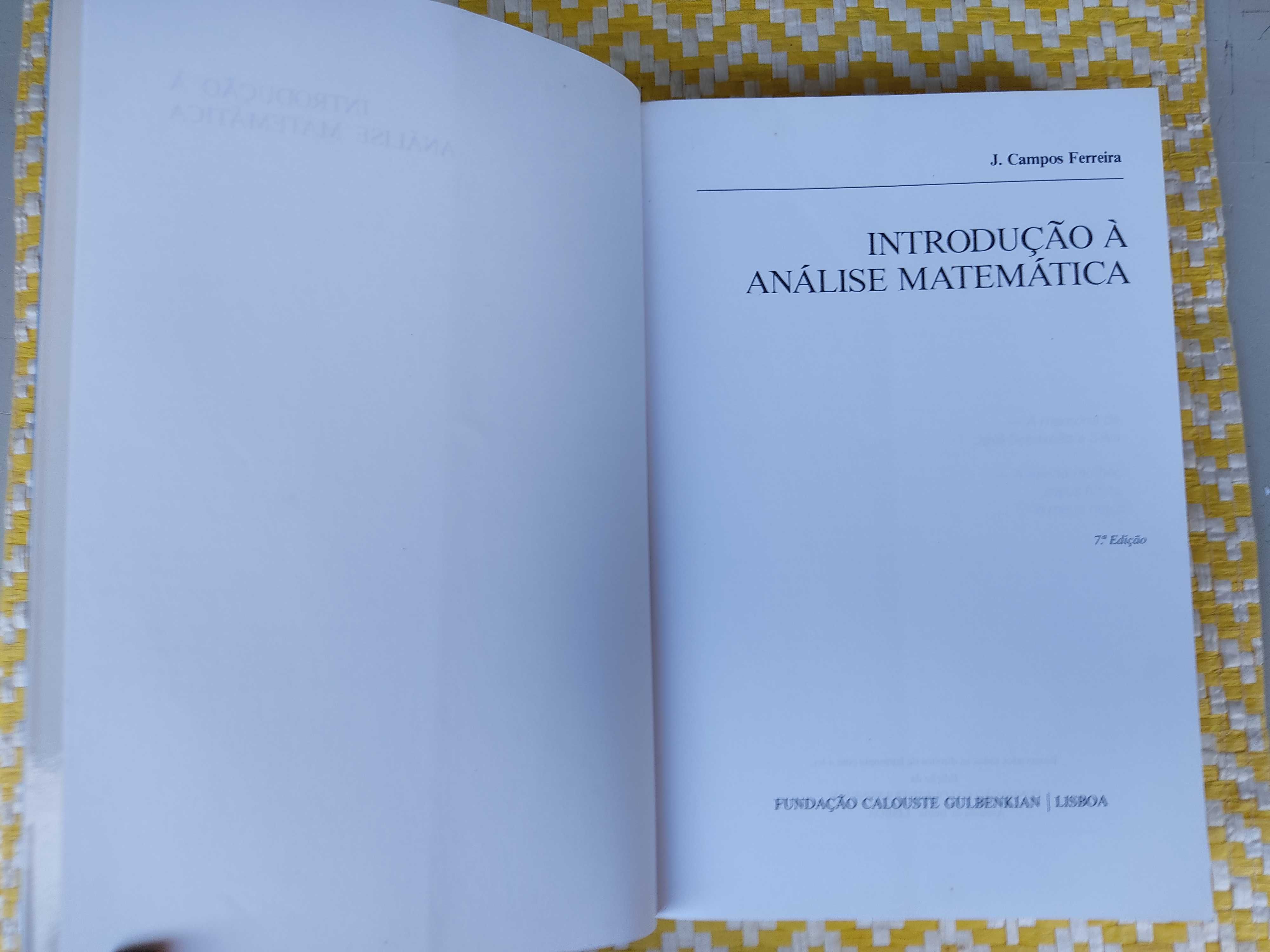 Introdução à análise matemática 
 J. Campos Ferreira