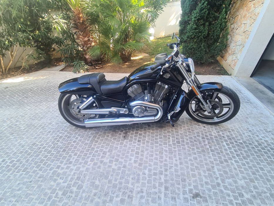 Harley Davidson V Road Muscle