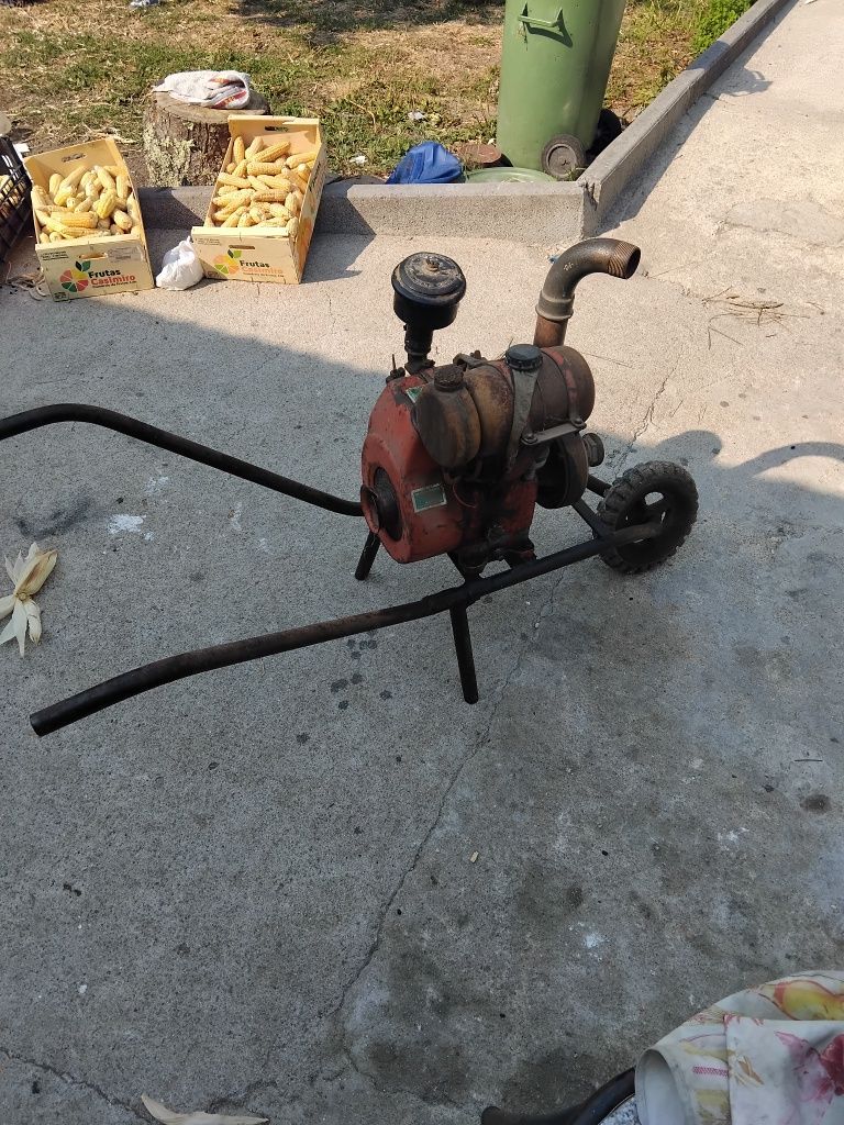 pachancho motor de rega