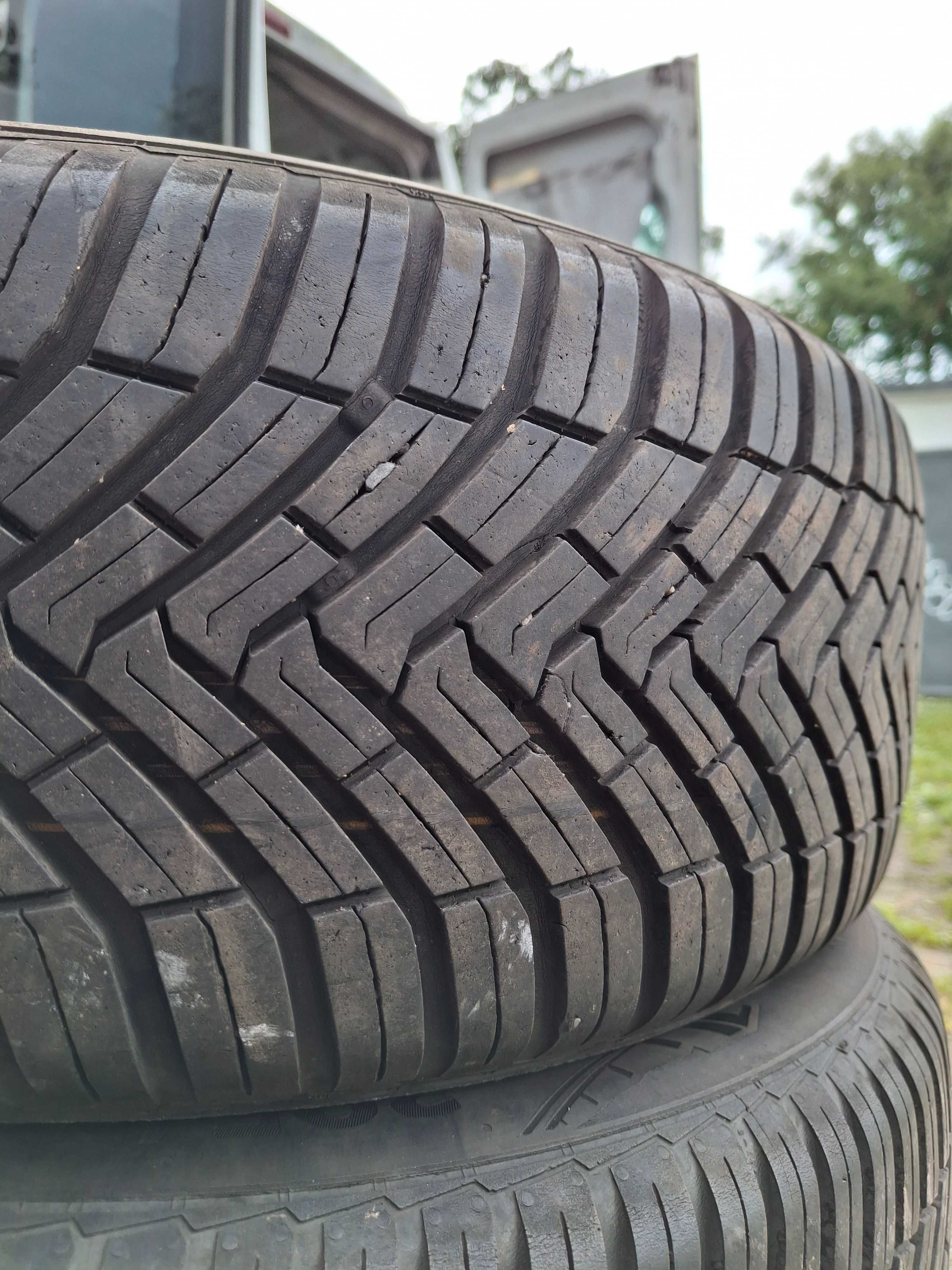 205/55r16 Continental Allseason Contact całoroczne