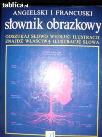 ANGIELSKI I FRANCUSKI - slownik obrazkowy