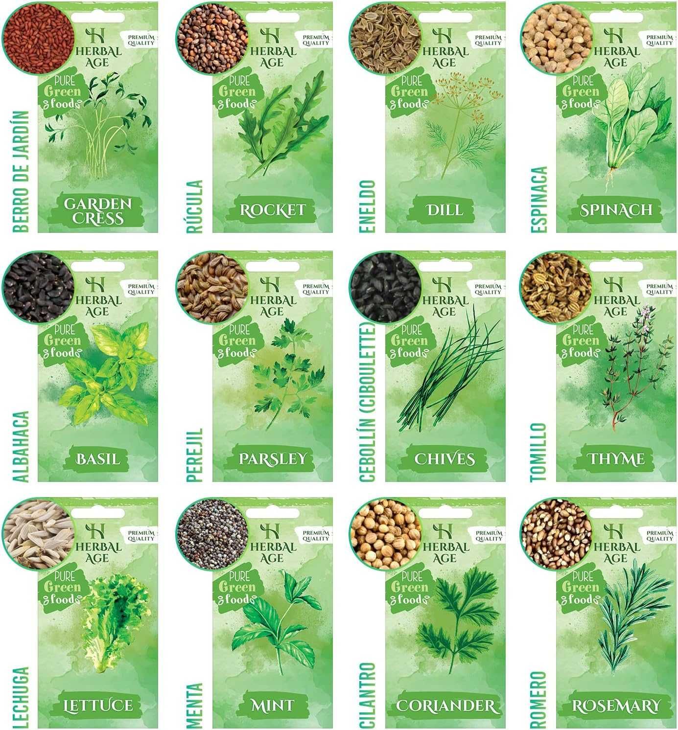 HERBAL AGE Zestaw 12 Odmian Roślin Aromatycznych,
