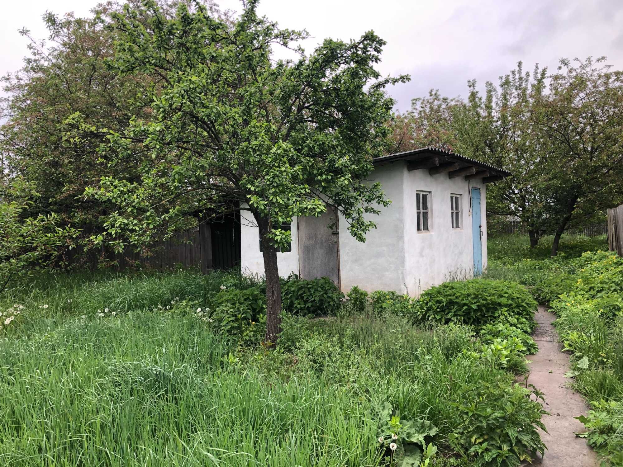 Терміново продам будинок 70 км., від м.Києва в смт.Брусилів (Хомутець)