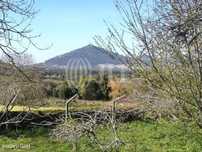 Terreno com projeto aprovado, Moledo, Viana do Castelo