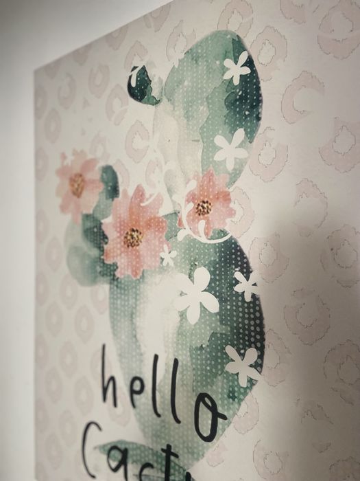 Varias molduras decoracao