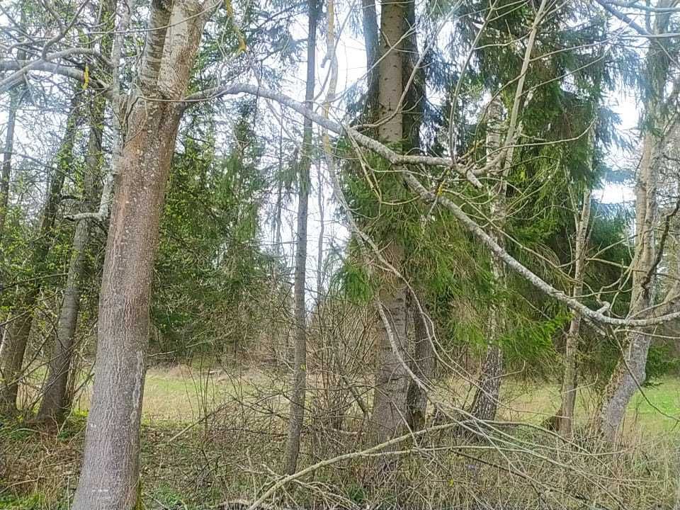 łąka na sprzedaż