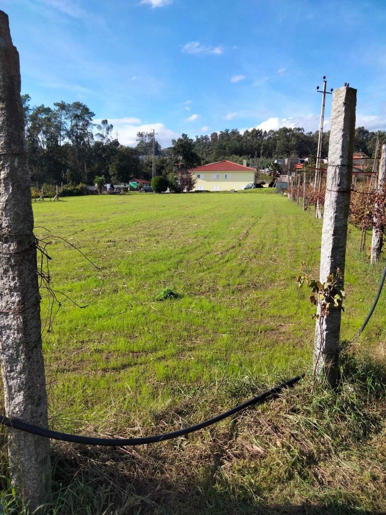 Vendo Terreno em Cruz